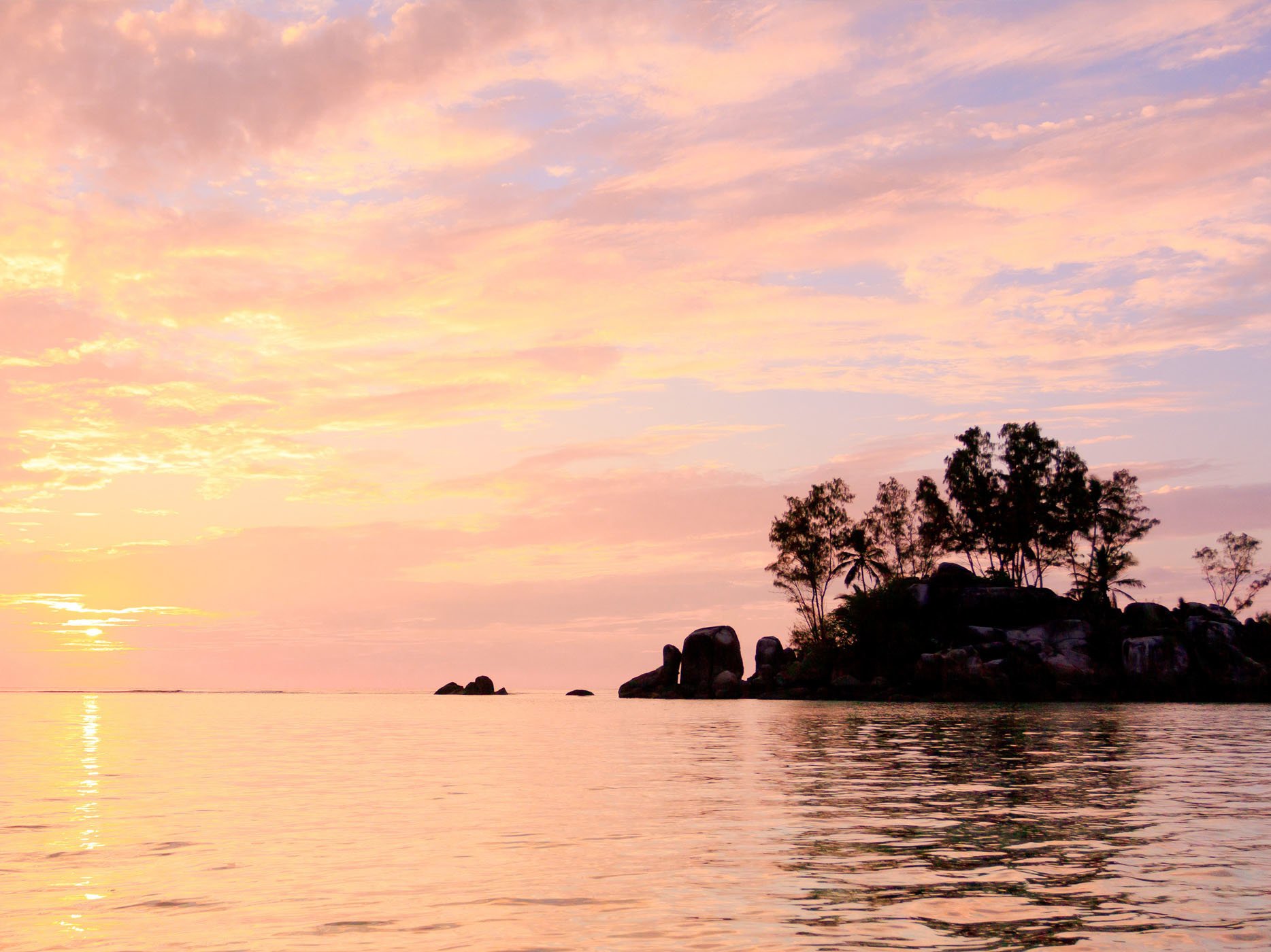 Mangrove twilight