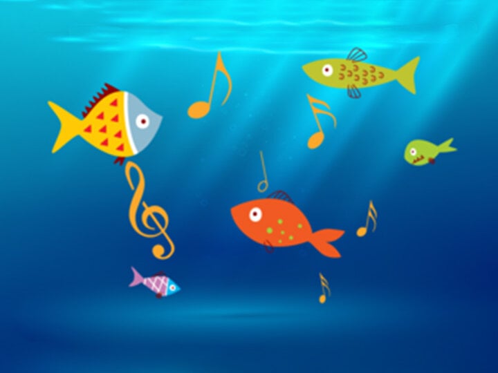 Magical musical aquarium